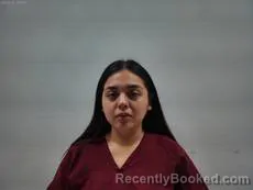 Mugshot of Castillo Mayra Pricilla