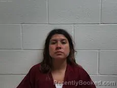 Mugshot of Sanchez Leslie Elizabeth booked in Cameron County, Texas on August 15, 2026