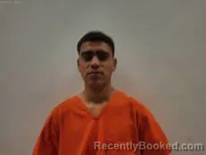 Mugshot of Nava Mata Bryan booked in Cameron County, Texas on August 19, 2026
