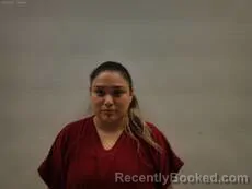 Mugshot of Salceda Amanda Lee booked in Cameron County, Texas on August 19, 2026
