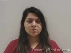 Mugshot of Rocha Pamela Denise booked in Cameron County, Texas on August 22, 2026
