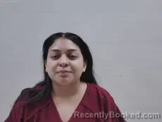 Mugshot of Hernandez Abigail Isabel booked in Cameron County, Texas on August 24, 2026