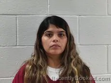 Mugshot of Garcia Maria Guadalupe booked in Cameron County, Texas on August 27, 2026