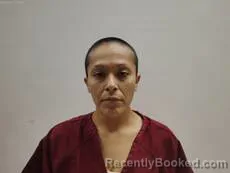 Mugshot of Zepeda Ester Marie booked in Cameron County, Texas on August 27, 2026