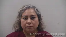Mugshot of Garcia Claudia booked in Cameron County, Texas on August 28, 2026