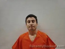 Mugshot of Delgado Ismael booked in Cameron County, Texas on August 28, 2026