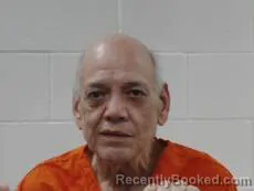 Mugshot of Salinas Domingo booked in Cameron County, Texas on August 29, 2026