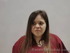 Mugshot of Nerio Ayla Lee booked in Cameron County, Texas on September 3, 2026