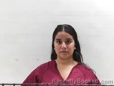 Mugshot of Mireles Taylor Nicole booked in Cameron County, Texas on September 14, 2026