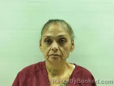 Mugshot of Martinez Sophia booked in Cameron County, Texas on September 15, 2026