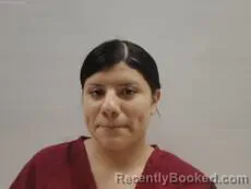 Mugshot of Trejo Ashley Roxanne booked in Cameron County, Texas on October 26, 2026