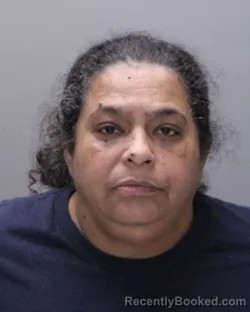 Mugshot of BRENDA IVETTE ALVARADO booked in Ontario County, New York on April 16, 2026