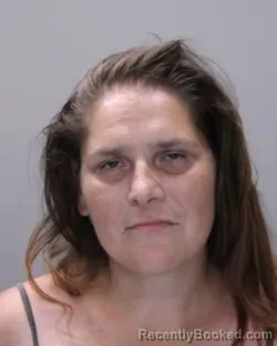 Mugshot of AMBER LYNN WHEELER booked in Ontario County, New York on July 9, 2026