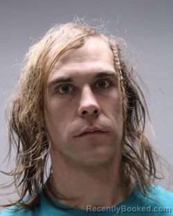 Mugshot of BRENDON TYLER STANLEY