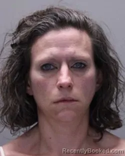 Mugshot of LORI ANN MCDONALD booked in Ontario County, New York on May 4, 2026