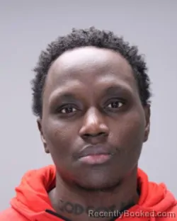 Mugshot of LAMIN TARAWALLY booked in Ontario County, New York on June 17, 2026