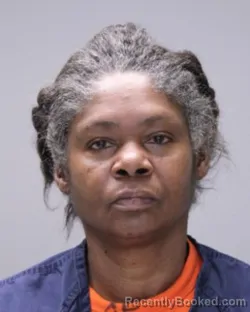 Mugshot of Doris Ann Collins booked in Ontario County, New York on August 19, 2026