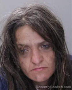 Mugshot of Krista Diane Bolt booked in Ontario County, New York on October 6, 2026