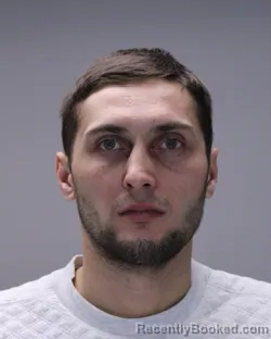 Mugshot of ROMAN ZASTAVNYI
