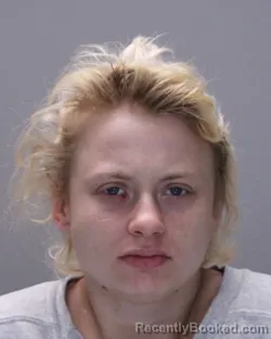 Mugshot of BRITTANY LEEANN HOLLAERT