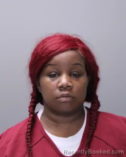 Mugshot of Laquanda Shanise Harrington booked in Ontario County, New York on October 30, 2026