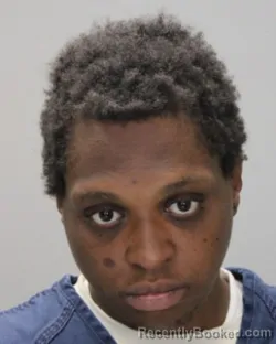 Mugshot of Y'nasia Oquana Adams booked in Ontario County, New York on October 5, 2026