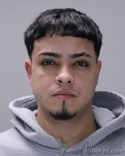 Mugshot of MICHAEL ANGELO TRINIDAD MEDINA