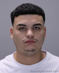 Mugshot of TAYSIR GONZALEZ FERNANDEZ