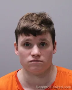 Mugshot of MADELYN MARIE POLINA CARMAN