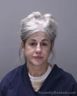 Mugshot of ANNMARIE FOE