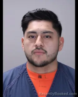 Mugshot of MAYNER ARIOSTO RODRIGUEZ- BRAVO