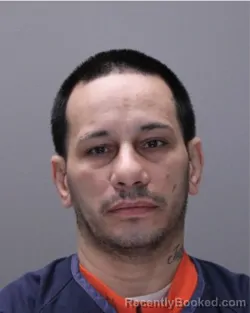 Mugshot of MICHAEL ANTHONY FERRER