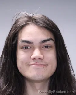 Mugshot of JORDAN FLORES HOLLANDS