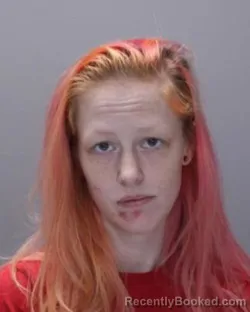 Mugshot of HEATHER MARIE CARLSON