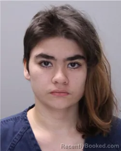 Mugshot of DESTINEE ANN WEAVER