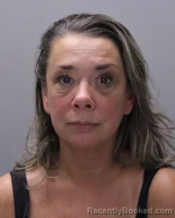 Mugshot of PENNY LYN HUNTSMAN booked in Ontario County, New York on April 17, 2026