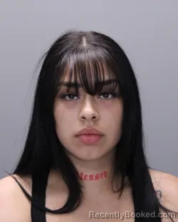 Mugshot of KIARANGELIEZ SOTO FERNANDEZ booked in Ontario County, New York on June 9, 2026