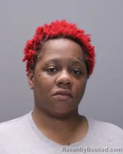 Mugshot of SHAKEIA IEISHIA MITCHELL booked in Ontario County, New York on August 2, 2026