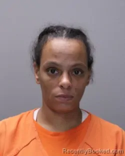 Mugshot of Zacandra Rose Flynn booked in Ontario County, New York on August 6, 2026