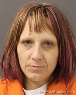 Mugshot of Amanda Theresa Fluellen booked in Ontario County, New York on August 21, 2026