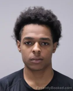 Mugshot of Jamari James Schuler booked in Ontario County, New York on October 14, 2026