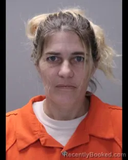 Mugshot of Bethany Jean Dickson booked in Ontario County, New York on October 28, 2026