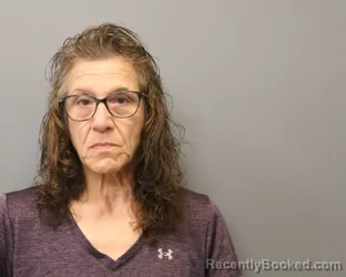 Mugshot of Melissa Ierlan booked in Orleans County, New York on August 28, 2026