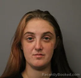 Mugshot of KAYLEEN BOWERS booked in Orleans County, New York on June 2, 2026