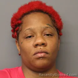 Mugshot of SHAKEIA MITCHELL booked in Orleans County, New York on July 21, 2026