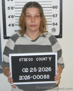 Mugshot of MICHELLE L LAPLANT