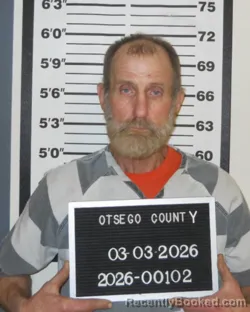 Mugshot of ROBERT RAY