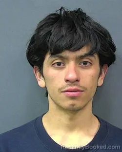 Mugshot of YORDI J PALMA-JACINTO