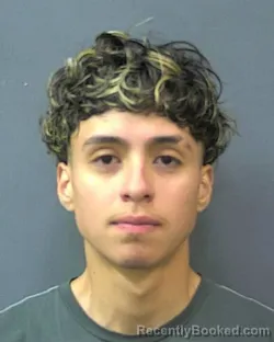 Mugshot of RANDY S ANGAMARCA