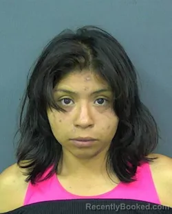 Mugshot of MILEIDY MICHELLE BAUTISTA RIVERA booked in Rockland County, New York on July 14, 2026